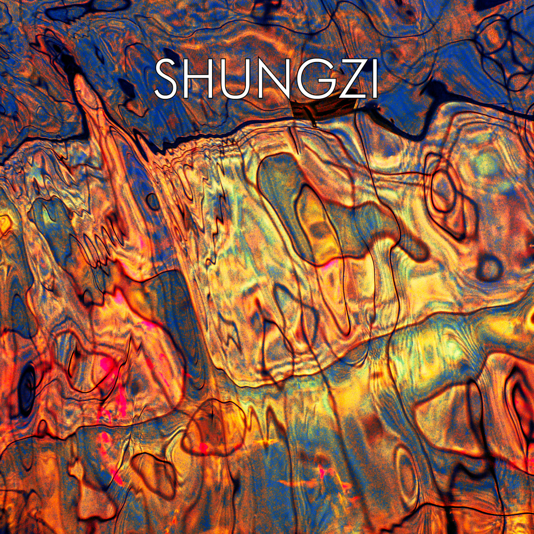 SHUNGZI